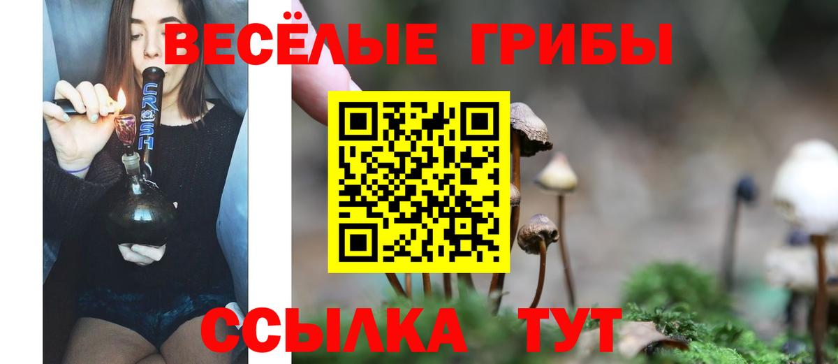 Кисловодск  Галлюциногенные грибы Psilocybe  Галлюциногенные грибы GOLDEN TEACHER  Вход с VPN 